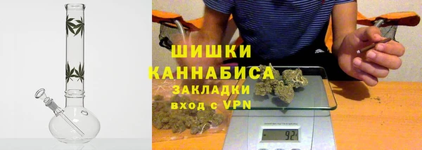 apvp Вяземский
