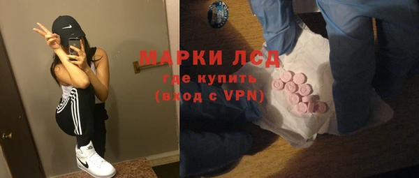 apvp Вяземский