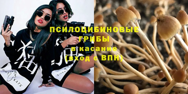 МДПВ Вязьма