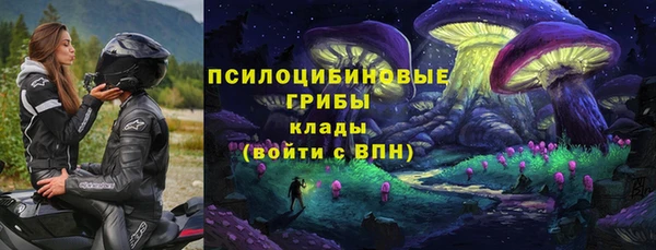 гидра Усмань