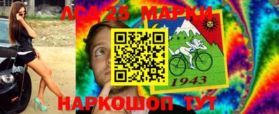 мет Камышлов