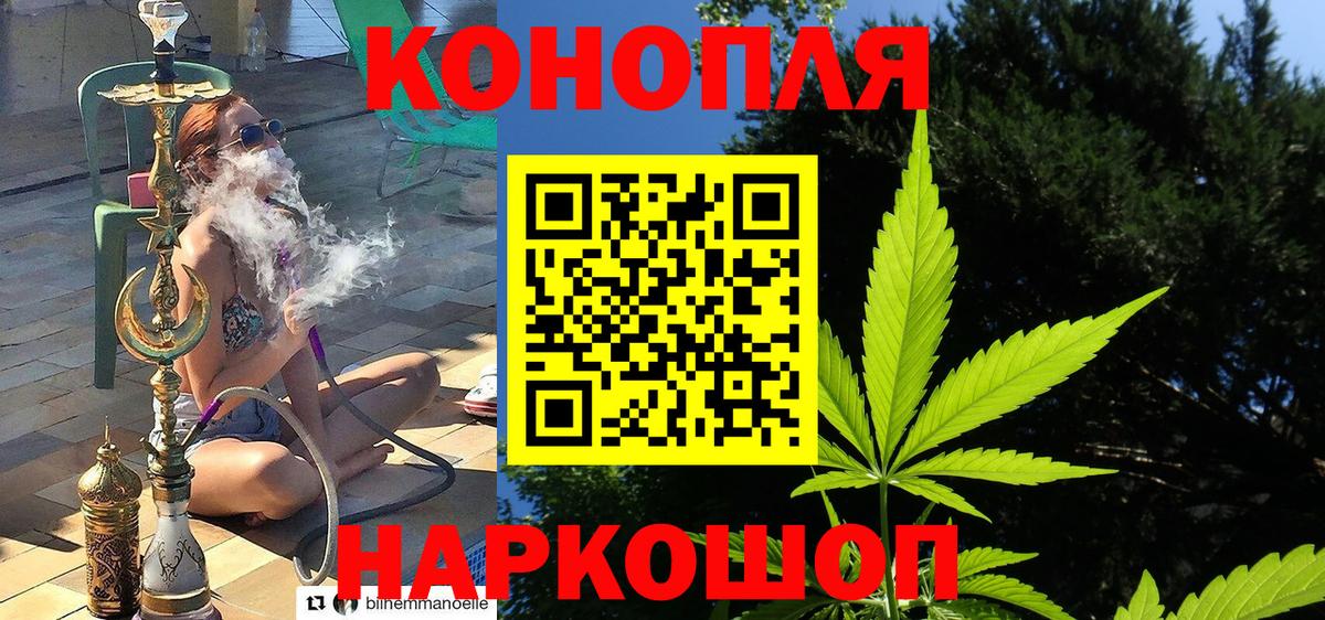Бошки Шишки OG Kush Мариинск